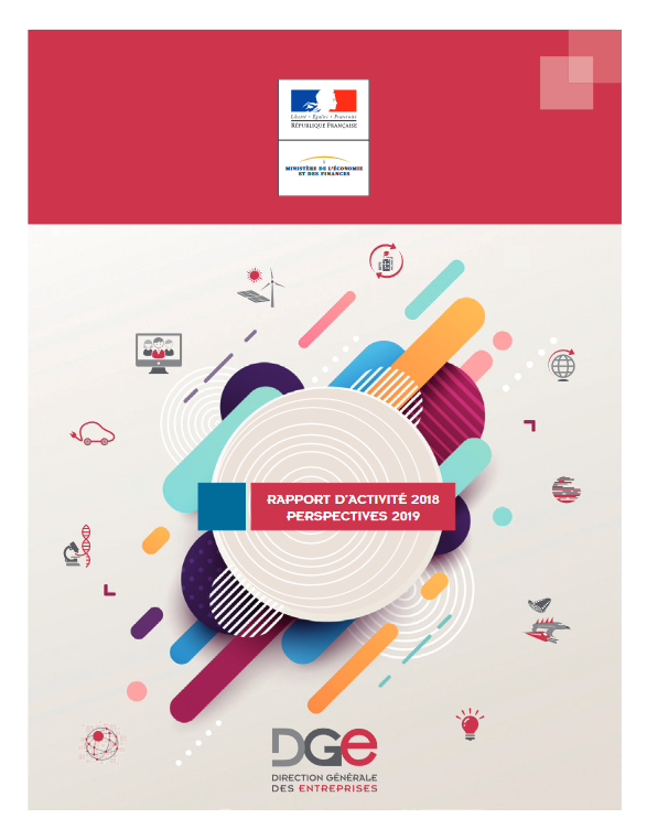 Rapport d'activité 2018, perspectives 2019 - Direction générale des Entreprises (DGE)