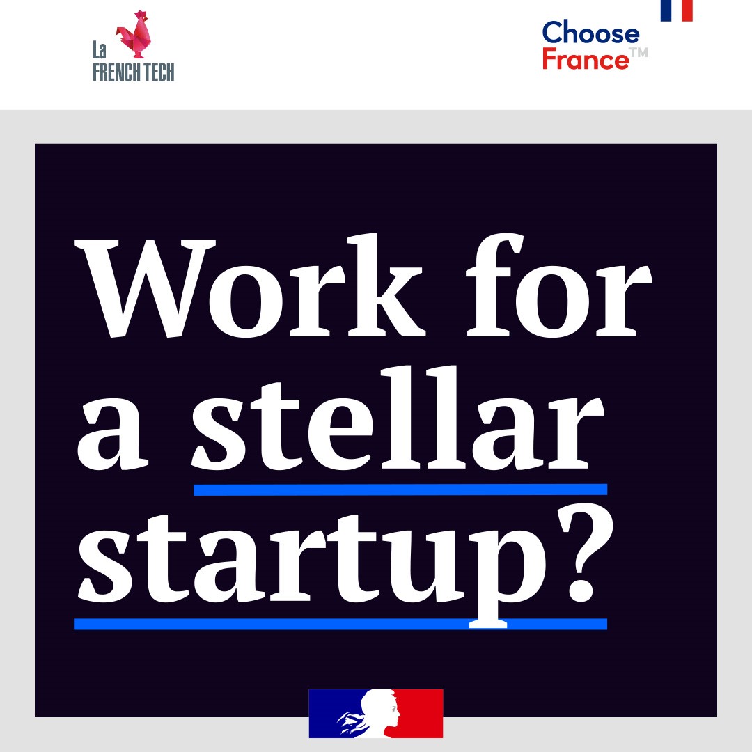 Work for a stellar startup ?