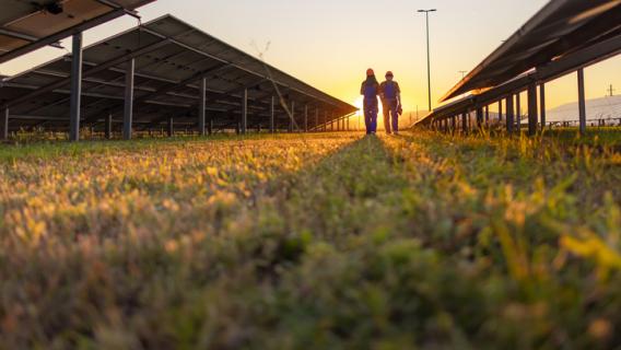 2 personnes marchant entre des panneaux solaires tandis que le soleil se couche