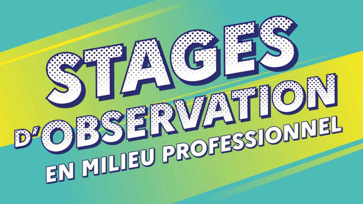 Stages d'observation en milieu professionnel - visuel illustratif