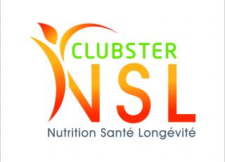 Logo Clubster NSL
